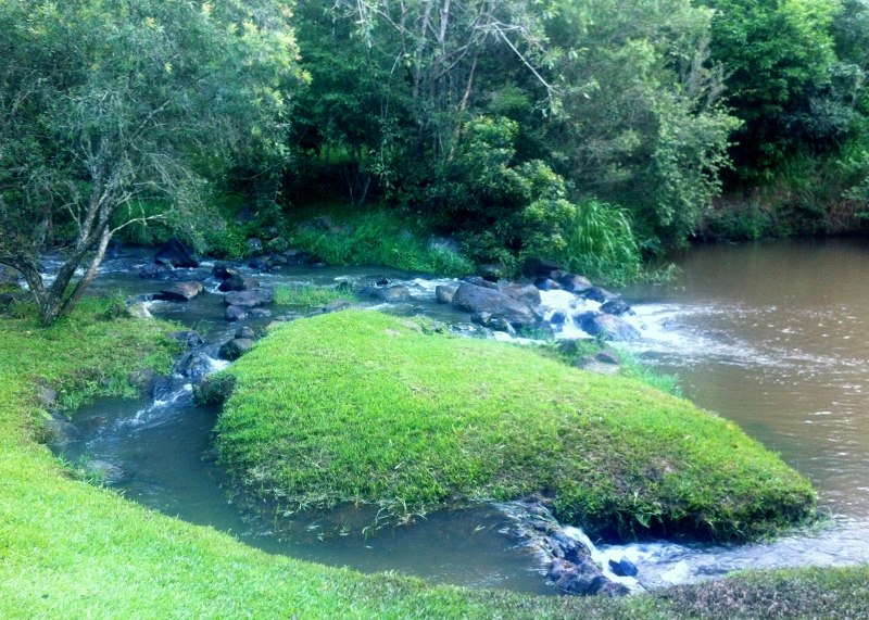 Leaf_on_a_Stream.jpg