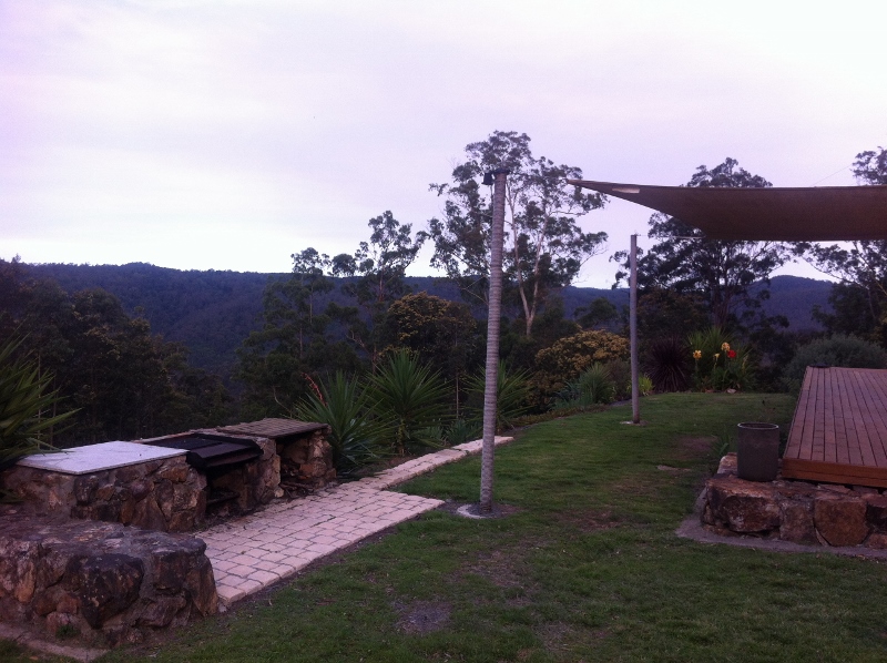 Rainforest_View.jpg